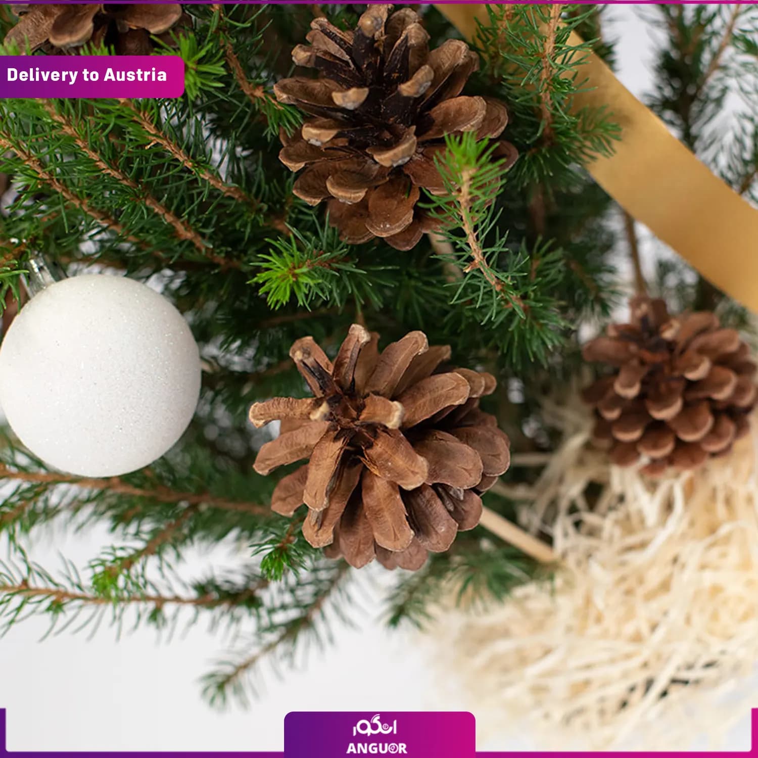 Mini Christmas Tree (ارسال گل به اتریش) — تصویر ۴