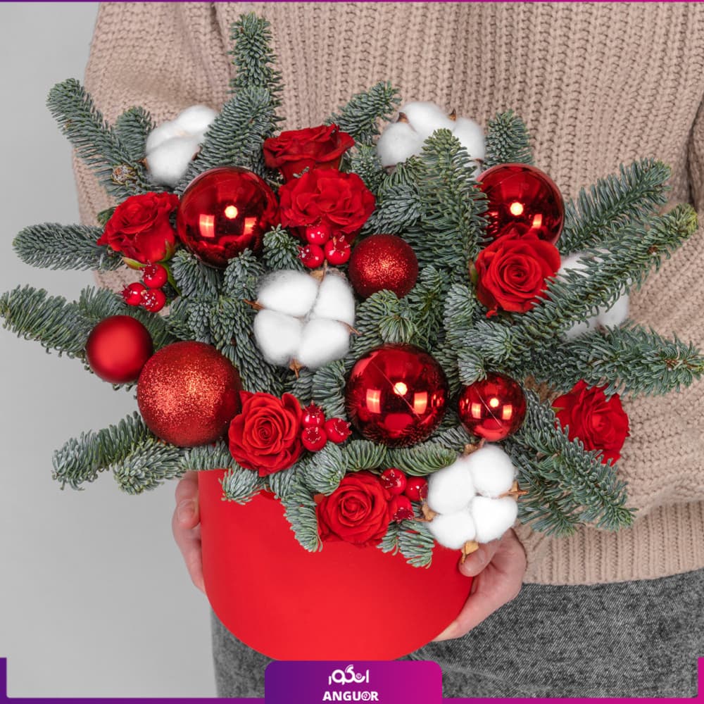 باکس گل کریسمس نوئل (سال نو میلادی)