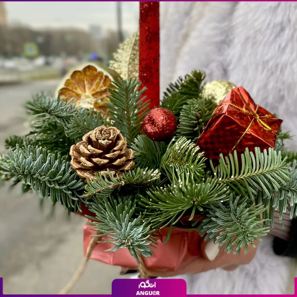 باکس کریسمسی کوچک (سال نو میلادی) — تصویر ۴