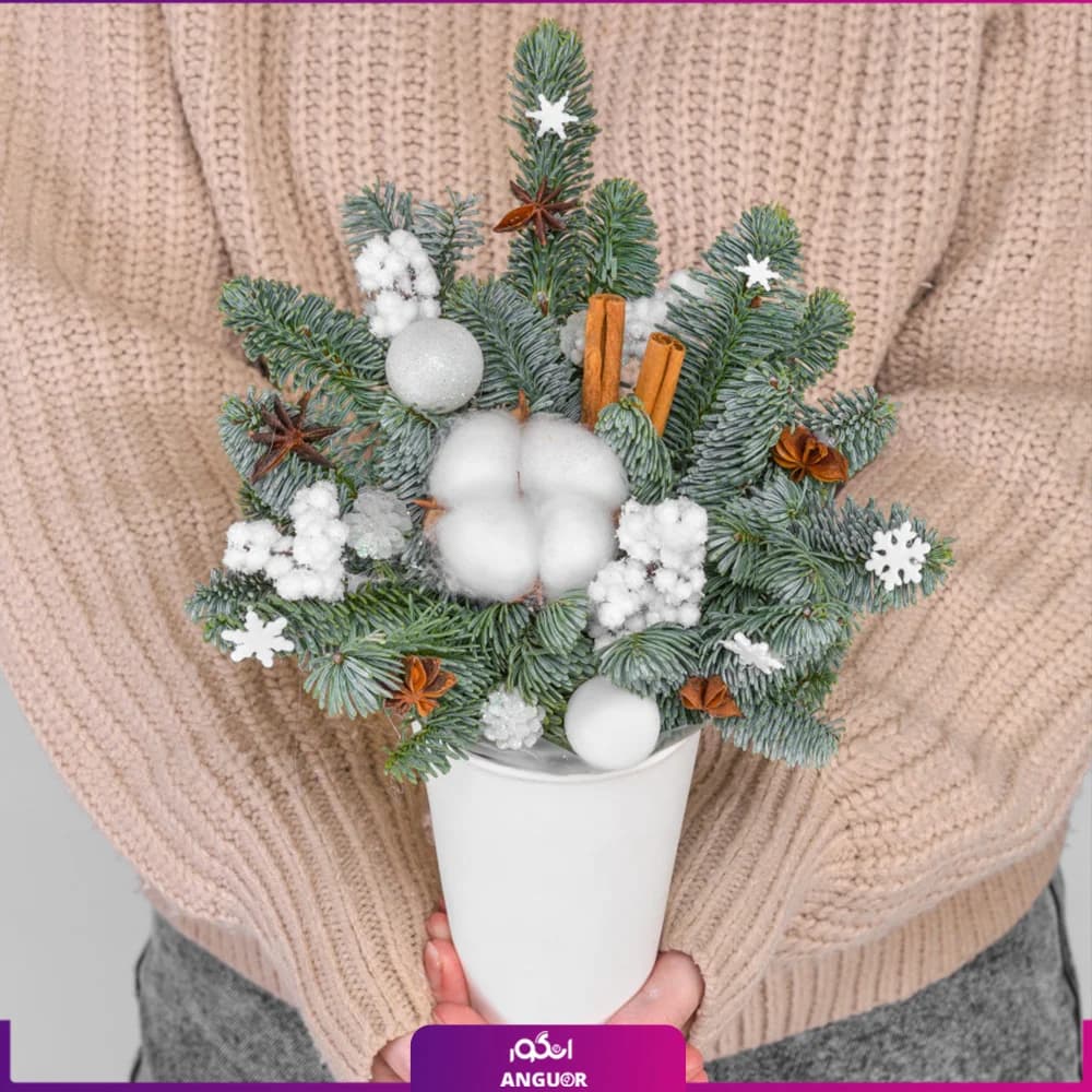 باکس کریسمس کوچک (سال نو میلادی)
