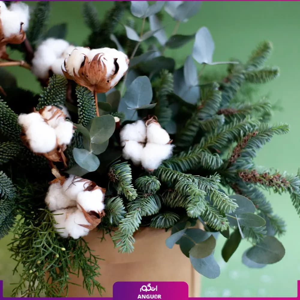 باکس گل کریسمس با پنبه (سال نو میلادی) — تصویر ۳