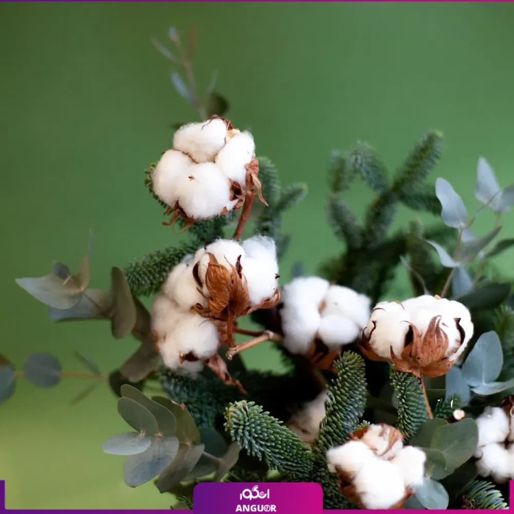 باکس گل کریسمس با پنبه (سال نو میلادی) — تصویر ۴