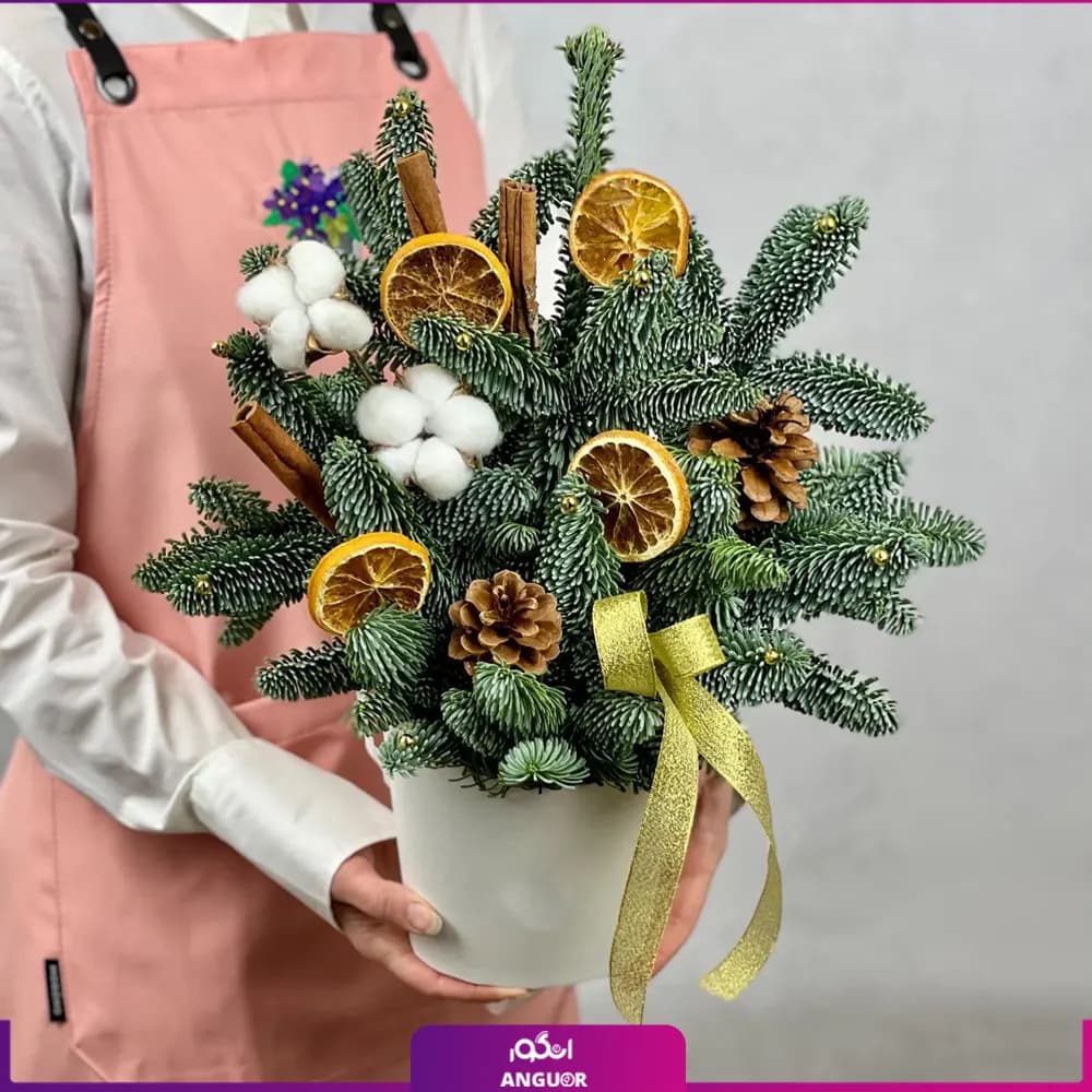 باکس گل کریسمس به همراه پرتقال و دارچین (سال نو میلادی)