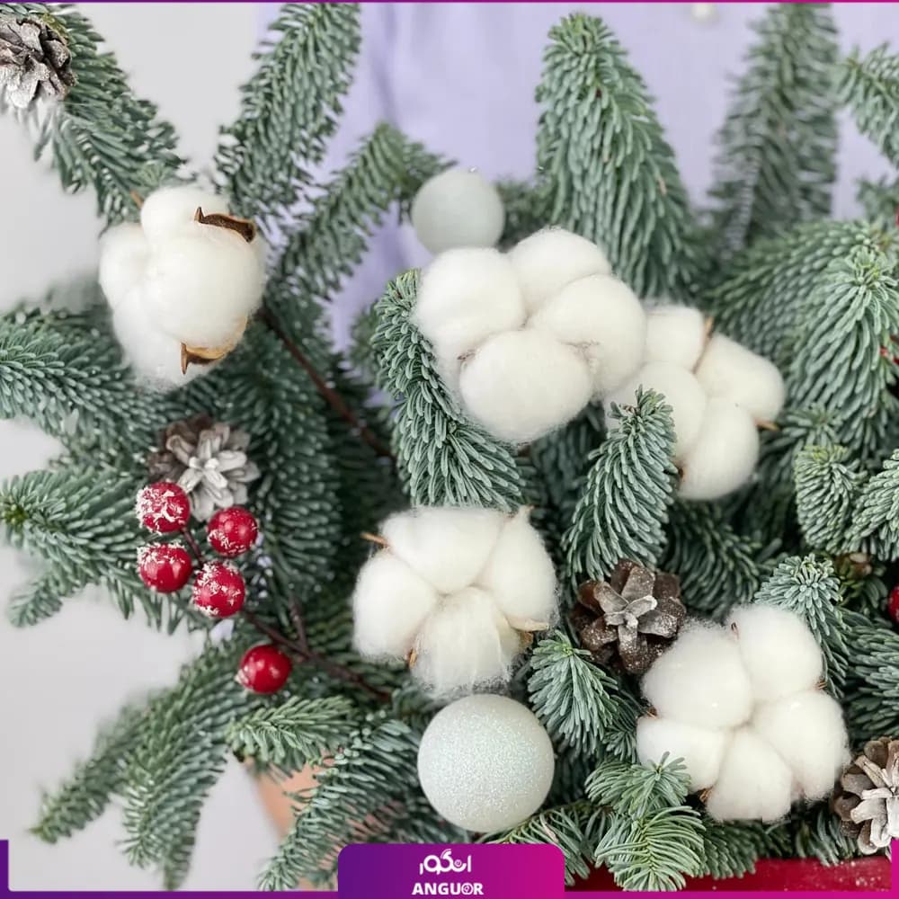باکس گل کریسمس به همراه گل پنبه (سال نو میلادی) — تصویر ۹