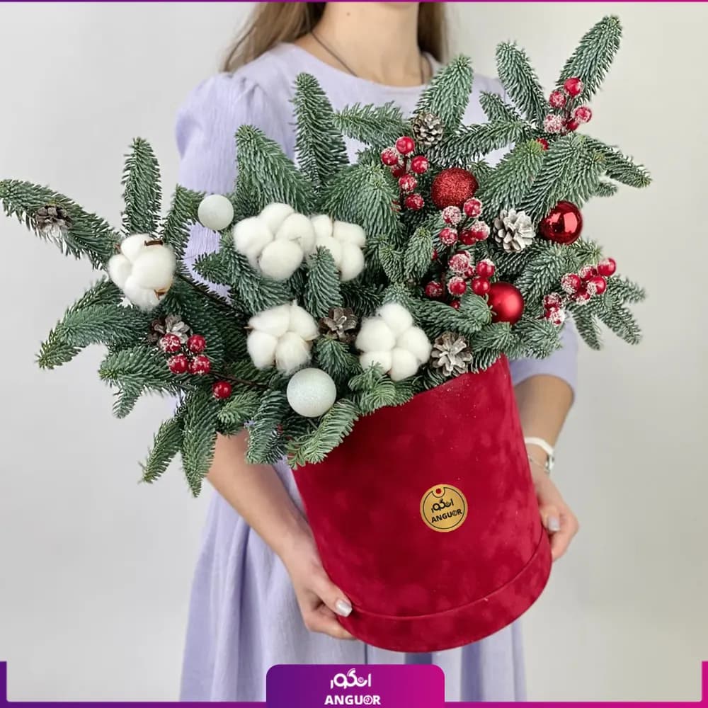 باکس گل کریسمس به همراه گل پنبه (سال نو میلادی) — تصویر ۷