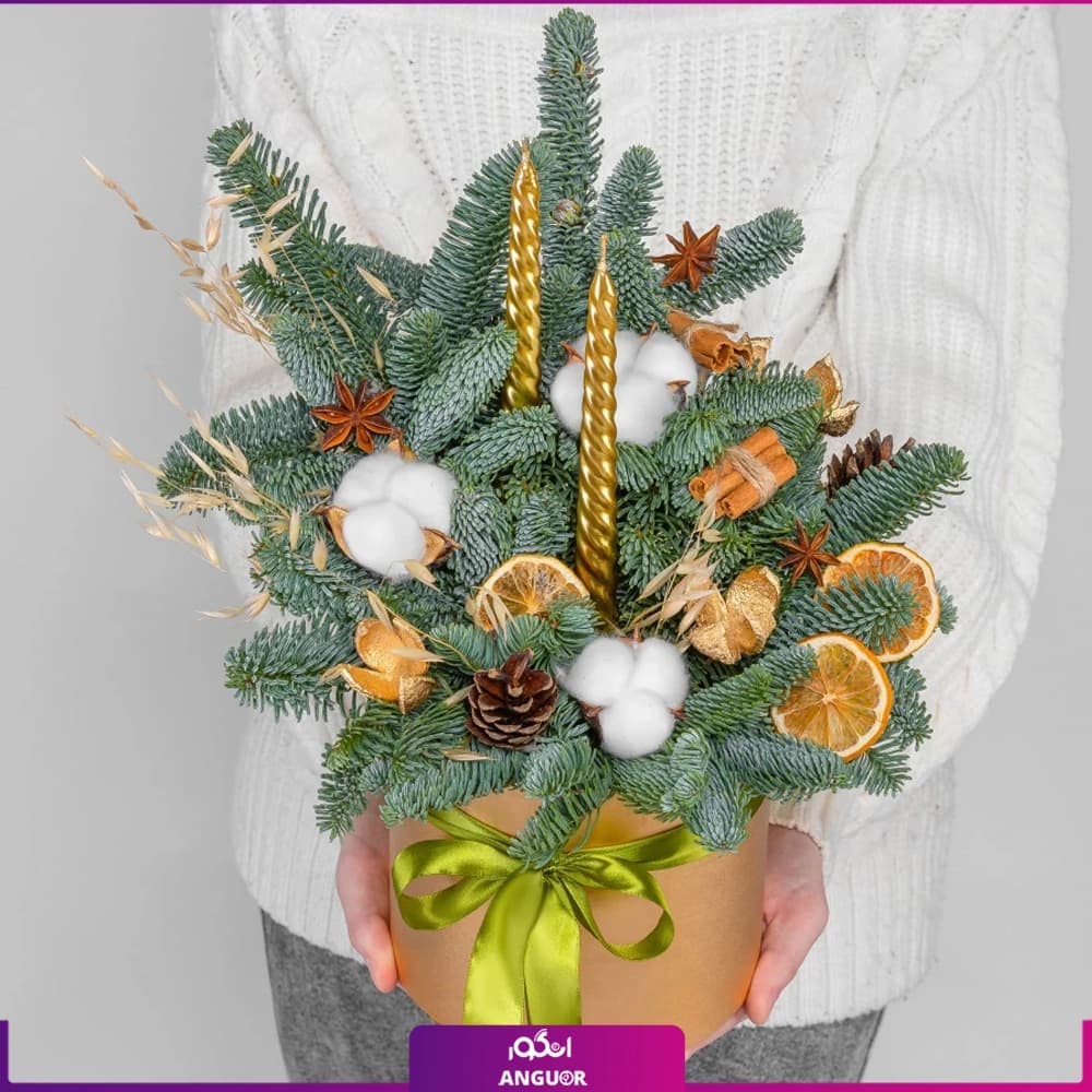 باکس کریسمس (سال نو میلادی) — تصویر ۲