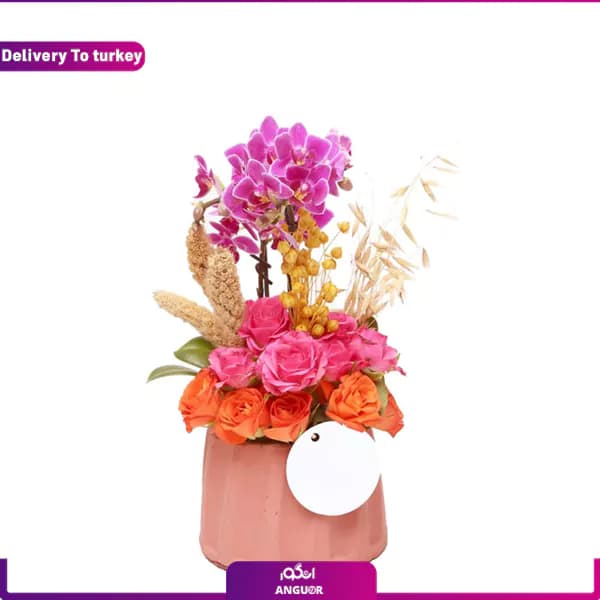 کریسمس رویایی (تحویل در ترکیه)