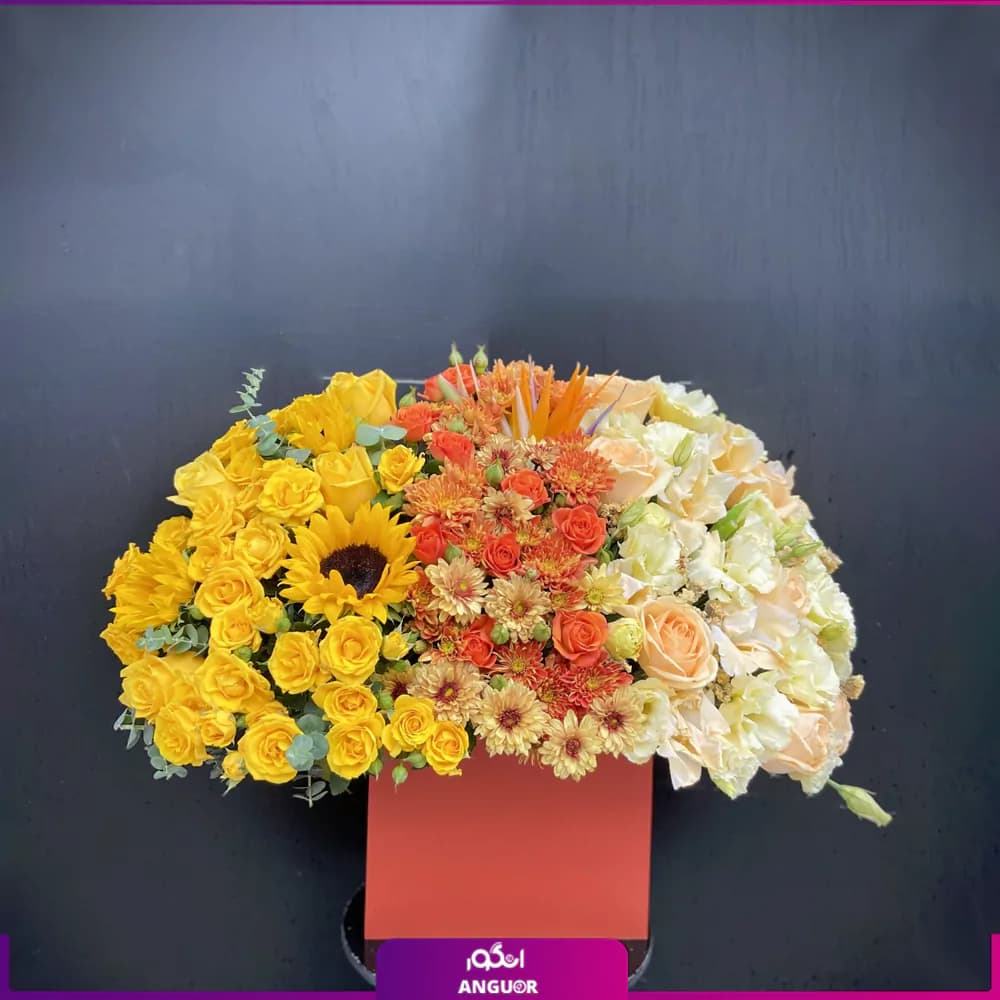 باکس گل سوما
