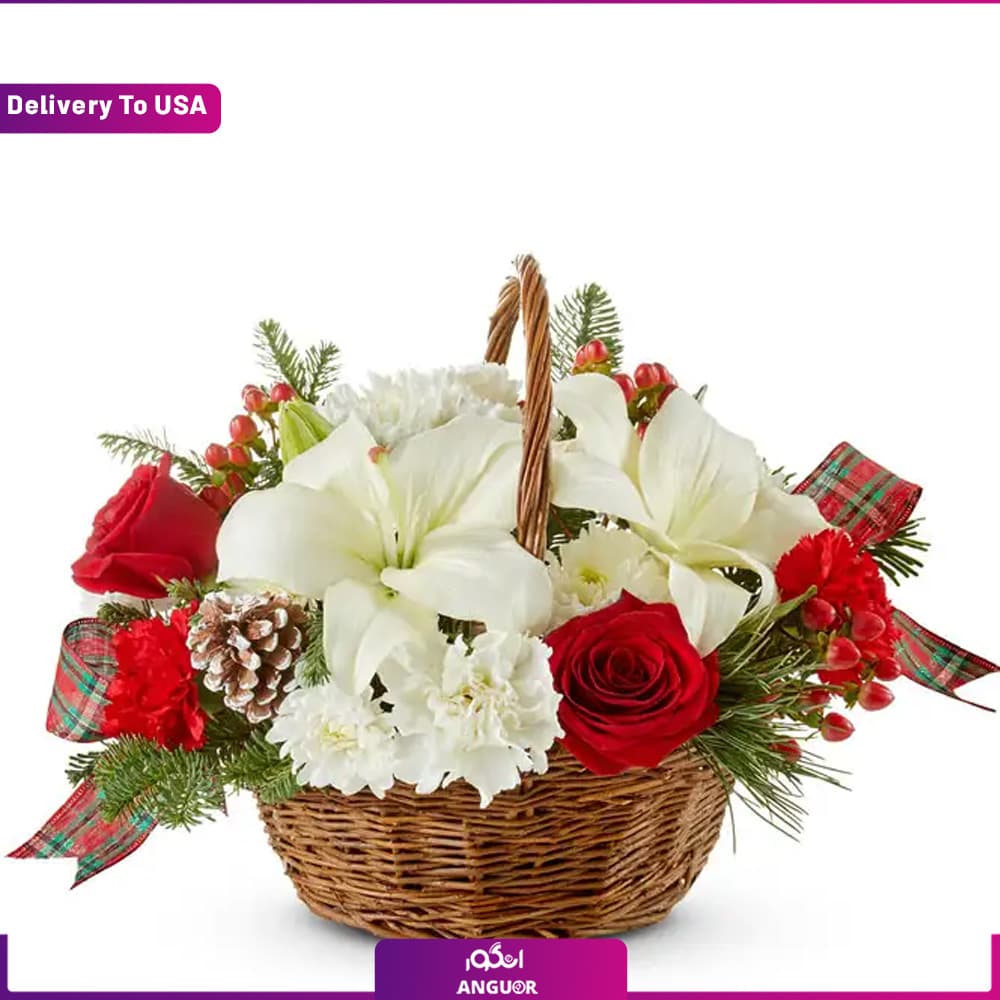 Wishes Basket (تحویل در امریکا) — تصویر ۲
