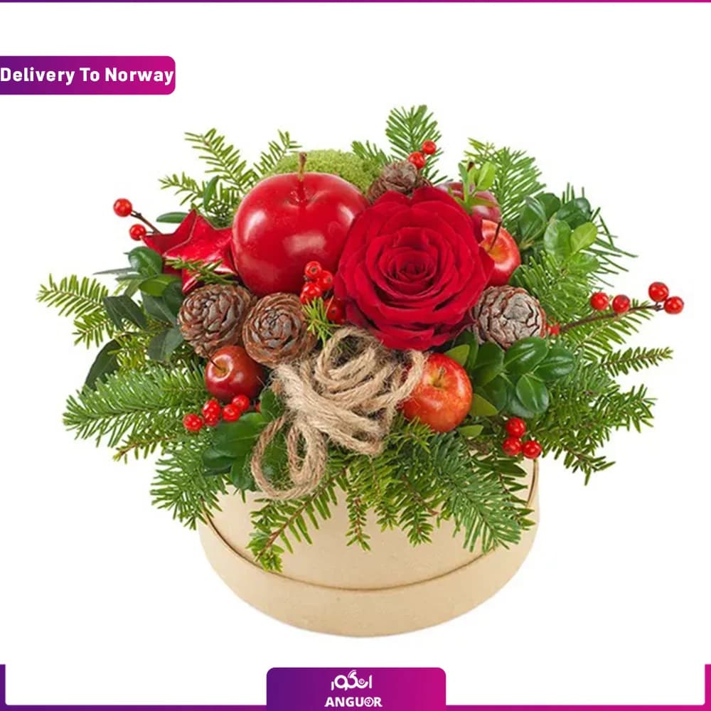 باکس گل کریسمس بابا نوئل (ارسال گل به نروژ)