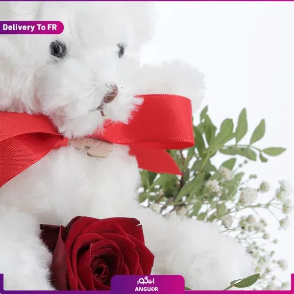 دسته گل رز و خرس (تحویل در فرانسه) — تصویر ۴