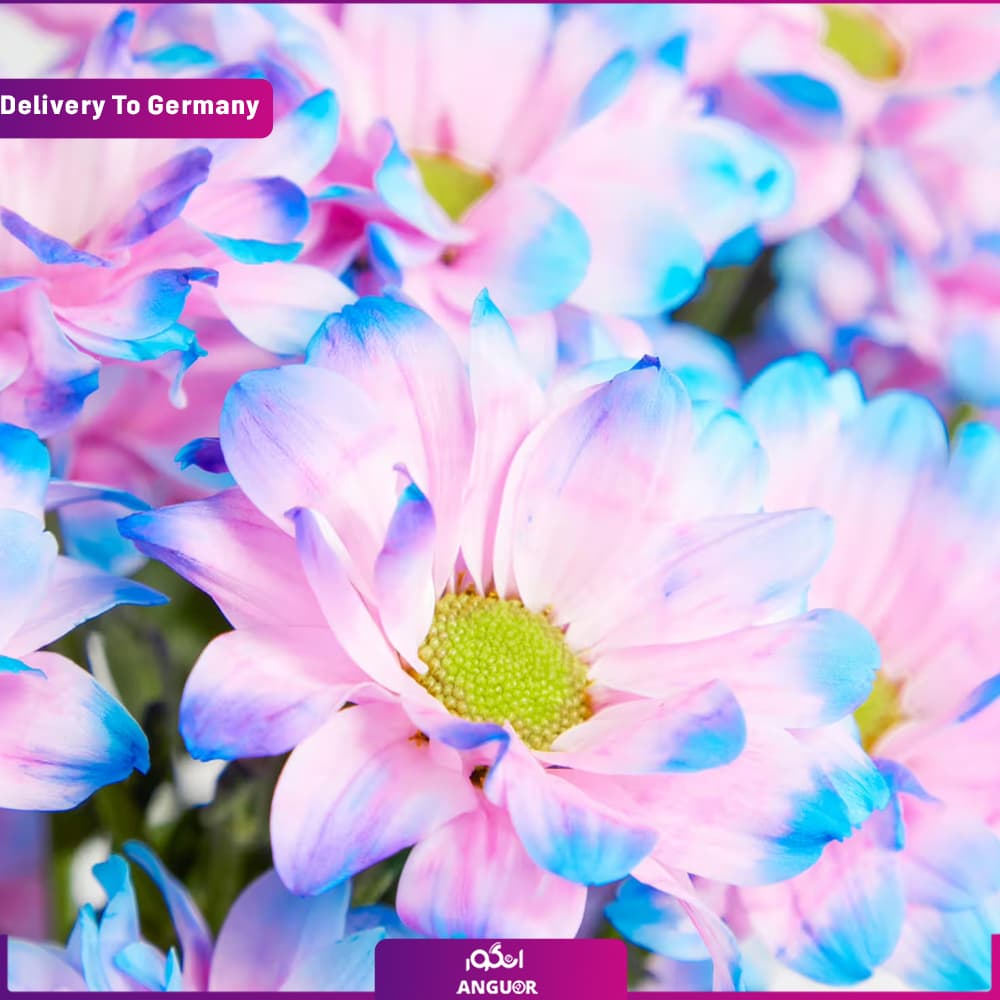 دسته گل عشق آبی (تحویل در آلمان) — تصویر ۵