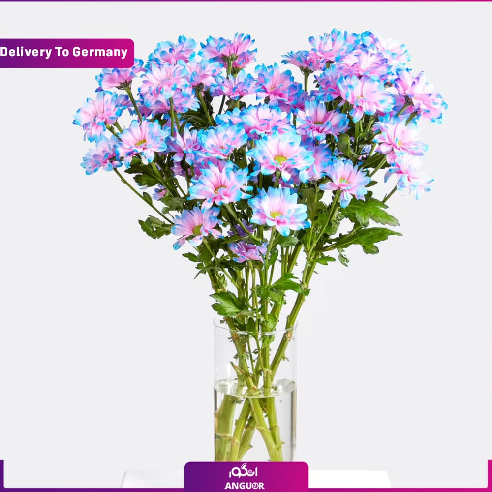 دسته گل عشق آبی (تحویل در آلمان)