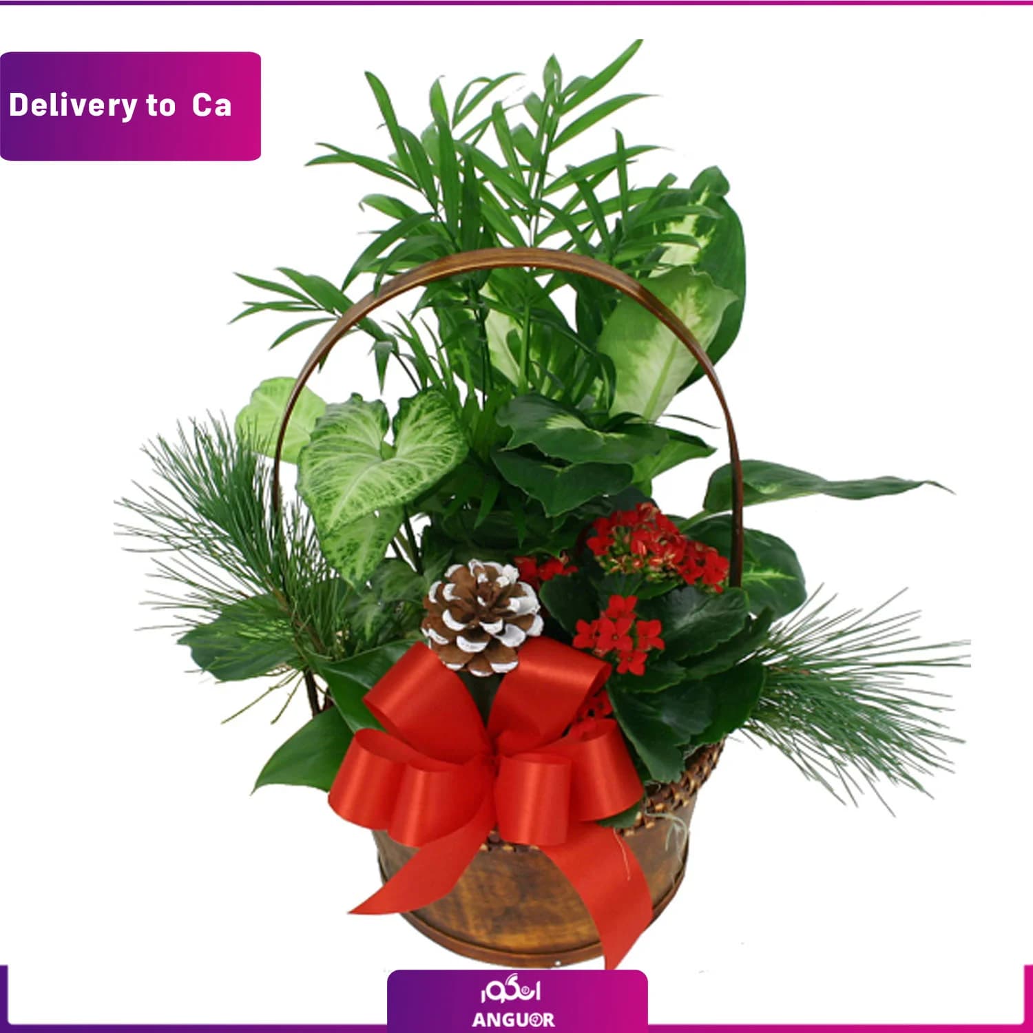 سبد کریسمس کوچک(ارسال گل به کانادا)