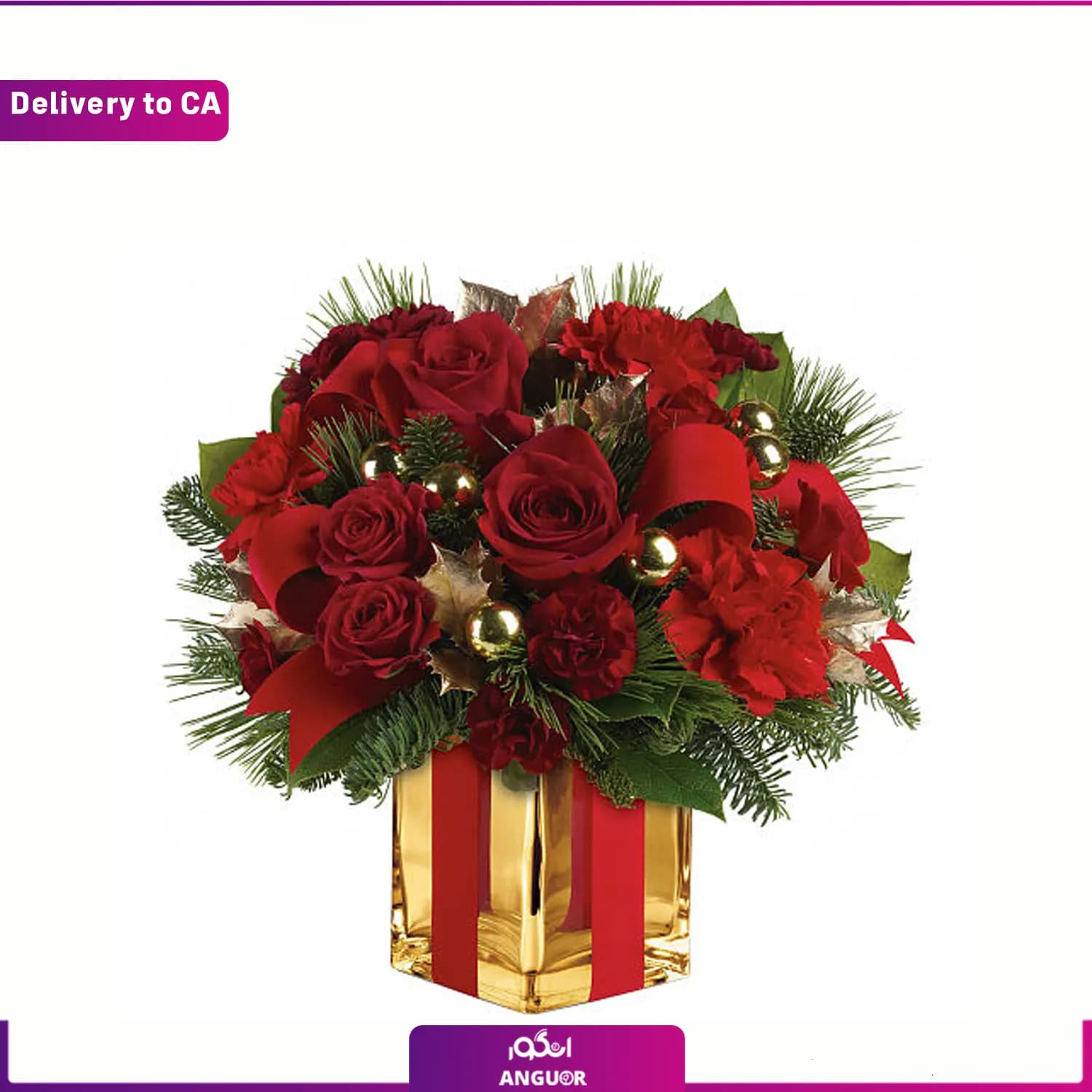 باکس گل رز و میخک کریسمس (ارسال گل به کانادا)
