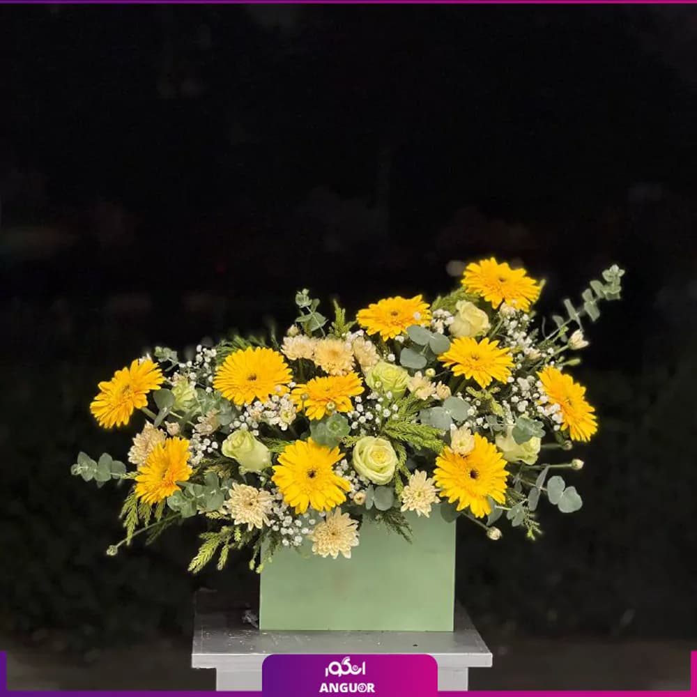 باکس گل آرمیدخت