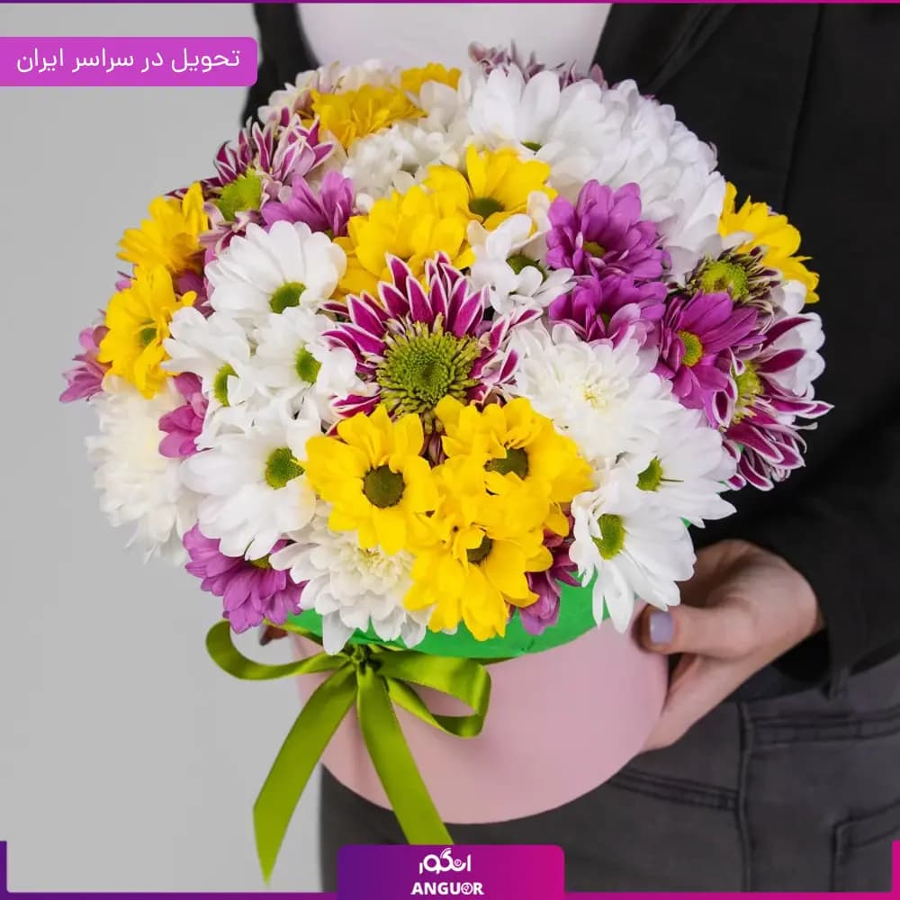 باکس گل داوودی