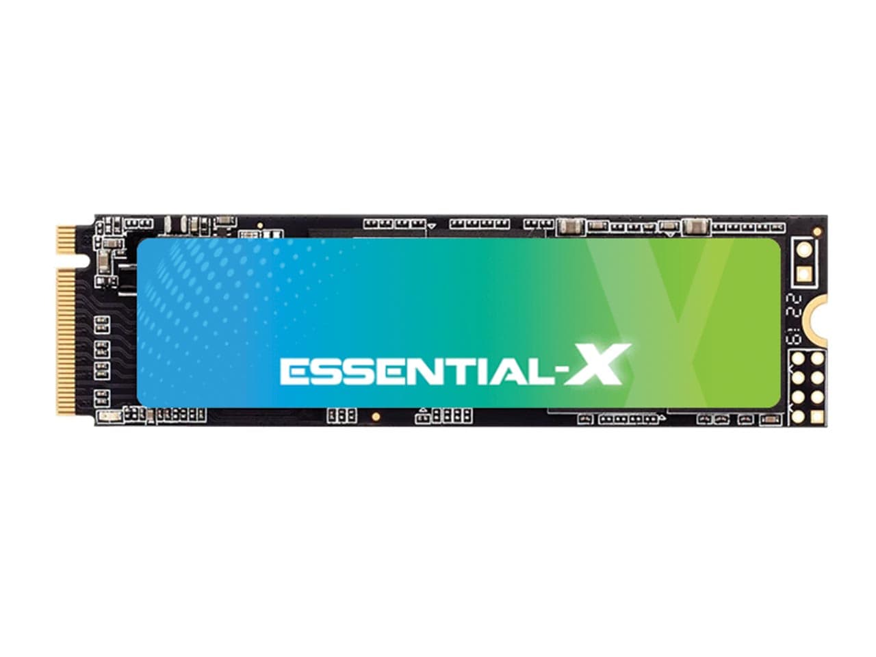 اس اس دی اینترنال M.2 NVMe اگزاسند مدل ExAscend Essential X ظرفیت 1 ترابایت