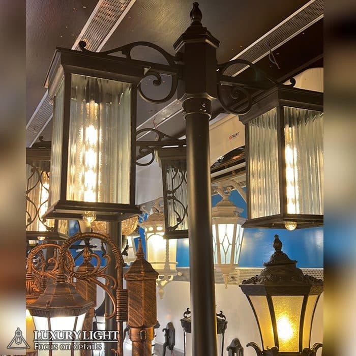 پاریس متوسط دوشاخه — تصویر ۱۲