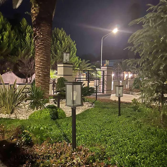 پاریس متوسط دوشاخه — تصویر ۹