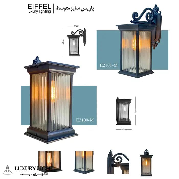 پاریس متوسط دوشاخه — تصویر ۷