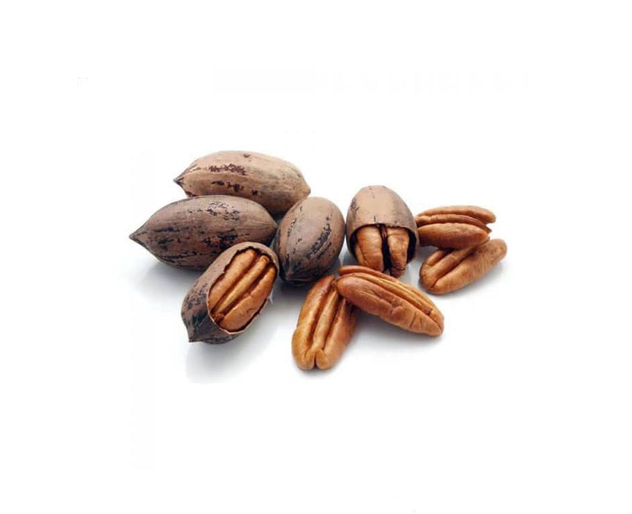 مغز گردو پیکن