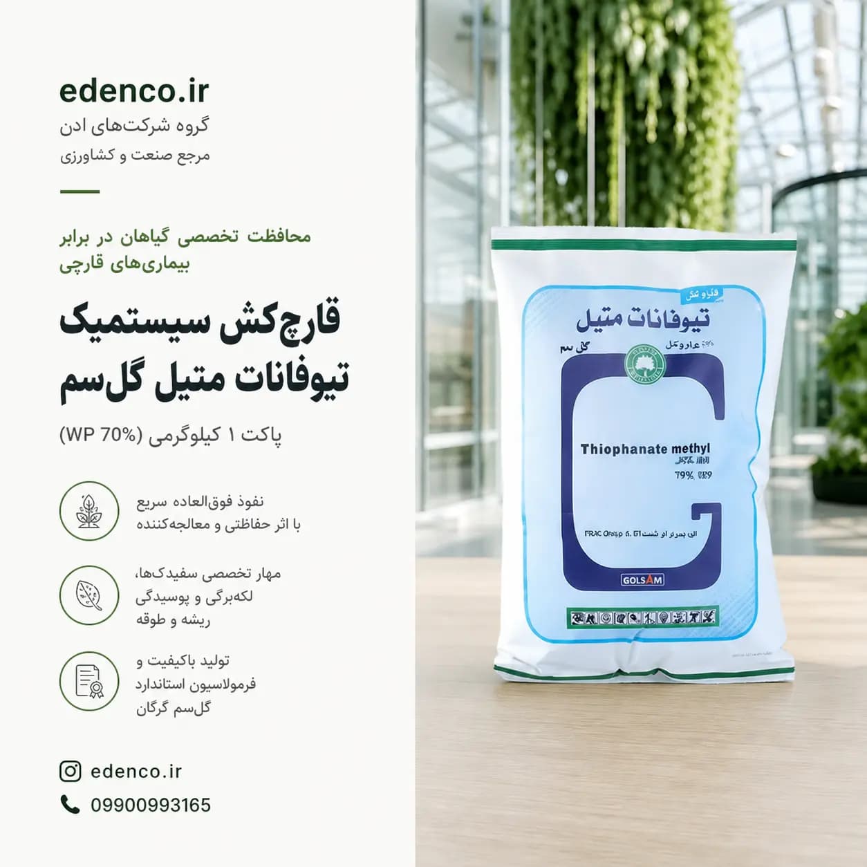 قارچکش تیوفانات متیل ۷۰% گلسم ۱ کیلوگرمی (فروش عمده – کارتن ۸ عددی) — تصویر ۱۱