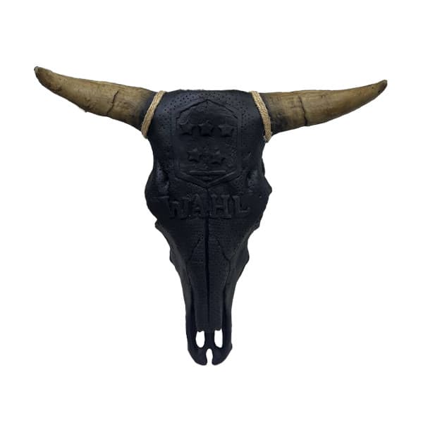 دیوارکوب طرح گاومیش کد 670