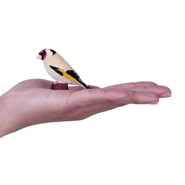 فنچ طلایی اروپایی موژو Mojo — تصویر ۵