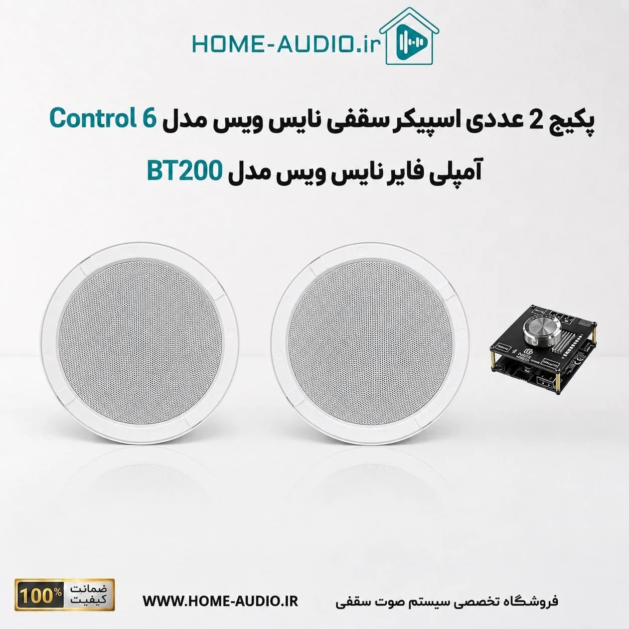 مجموعه اسپیکر سقفی نایس ویس Control 6 + آمپلی فایر مدل BT200