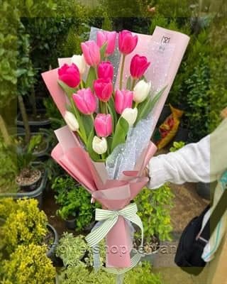 گل بله برون جدید مناسب شرکت‌ها، مطب‌ها و فضاهای اداری