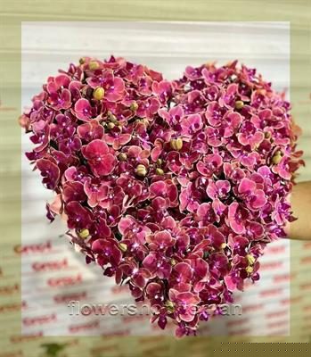 سفارش آسان گل رز خارجی فقط با چند کلیک