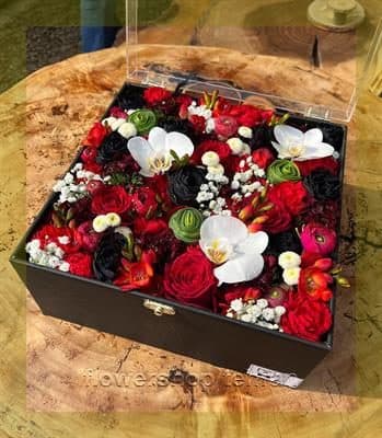 گیاهان رونده ؛ هدیه‌ای امن برای وقتی نمی‌دانی چه بخری