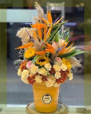 با باکس شیشه ای ارزان اولین نگاه هر مهمان را میخکوب کن