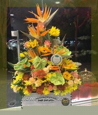 باکس گل تولد ارزان برای جشن‌های پرانرژی و خاطره‌ساز