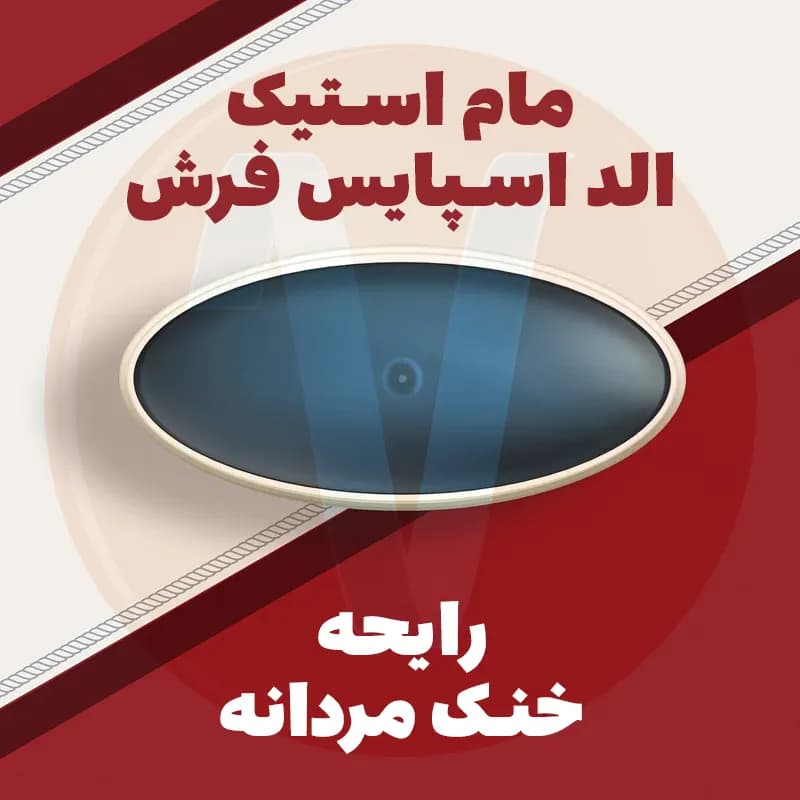 مام استیک الد اسپایس Fresh وزن 85 گرم — تصویر ۵
