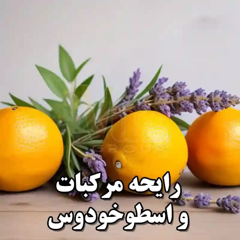 اسپری Axe Africa اکس آفریقا حجم 150 میل — تصویر ۵