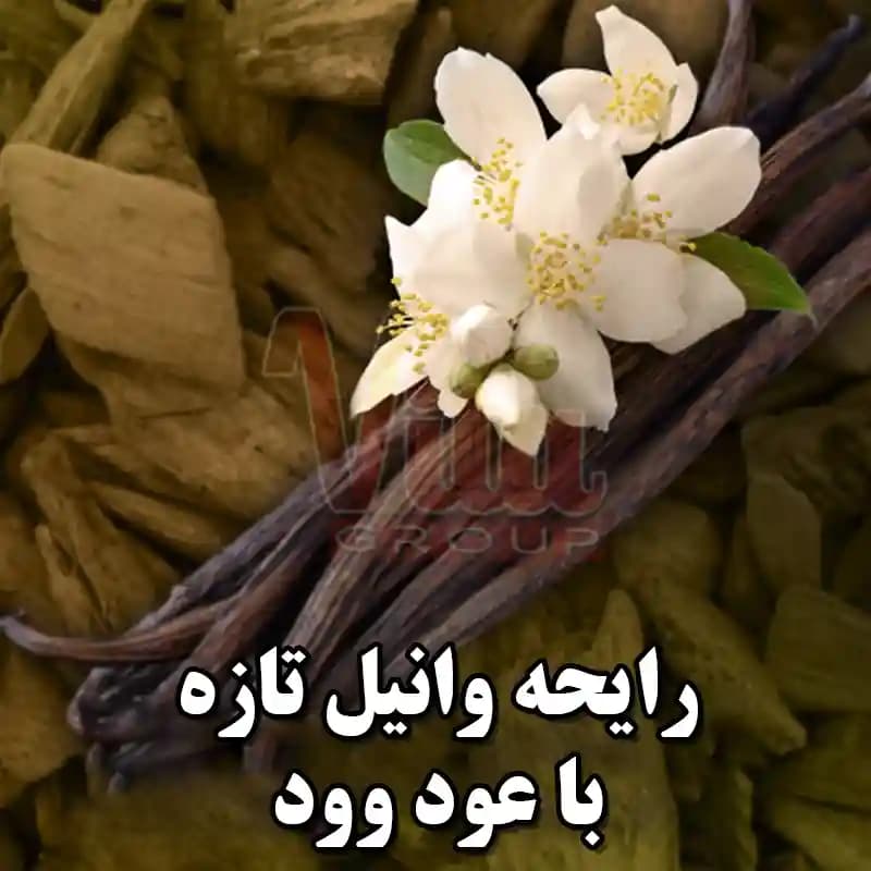 اسپری Axe Gold اکس گلد حجم 150 میل — تصویر ۵
