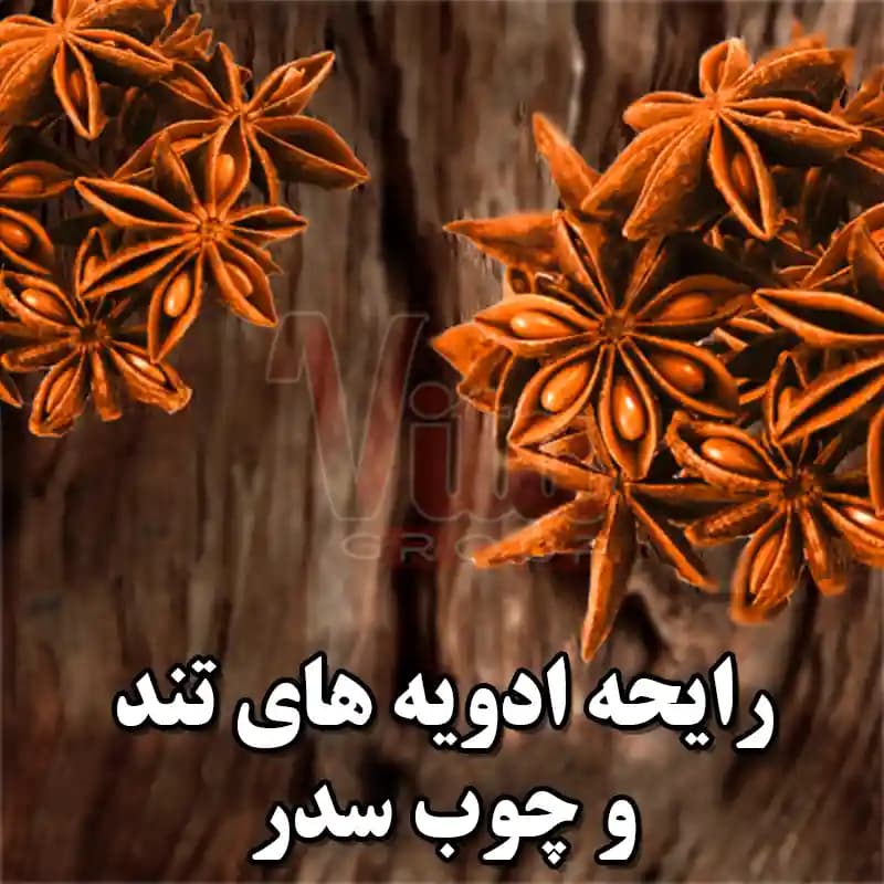 اسپری Axe Wild Spice اکس وایلد اسپایس حجم 150 میل — تصویر ۵