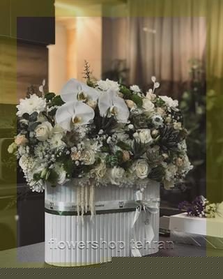 چیدمان هنری گیاه آپارتمانی با برگهای سبز و قرمز برای دکور میز یا لابی
