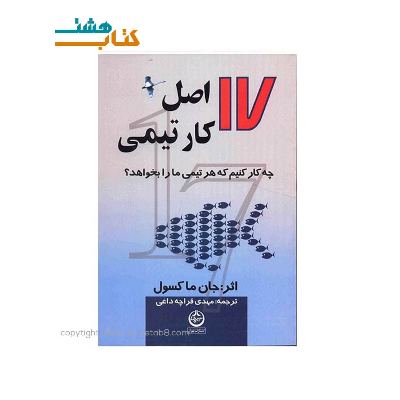 کتاب 17 اصل کار تیمی اثر جان ماکسول