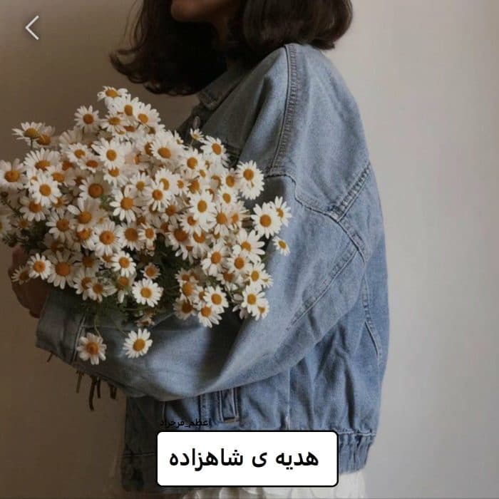 رمان هدیه ی شاهزاده | دانلود | کتاب خوان