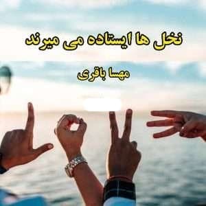 رمان نخل ها ایستاده میمیرند | دانلود | کتاب خوان
