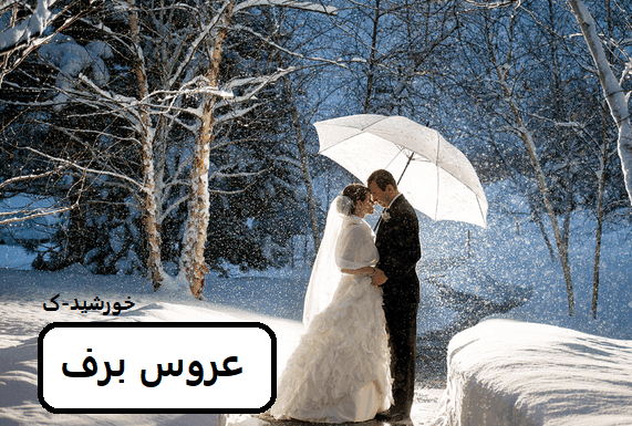 رمان عروس برف | دانلود | کتاب خوان