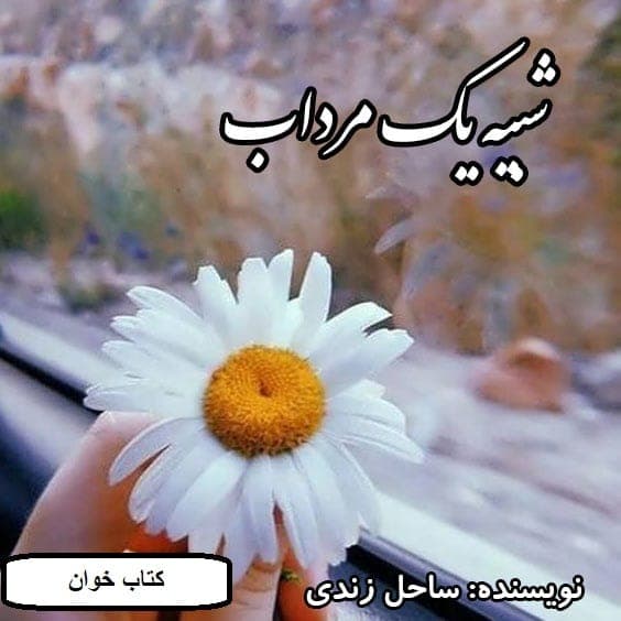 رمان شبیه یک مرداب | دانلود | کتاب خوان