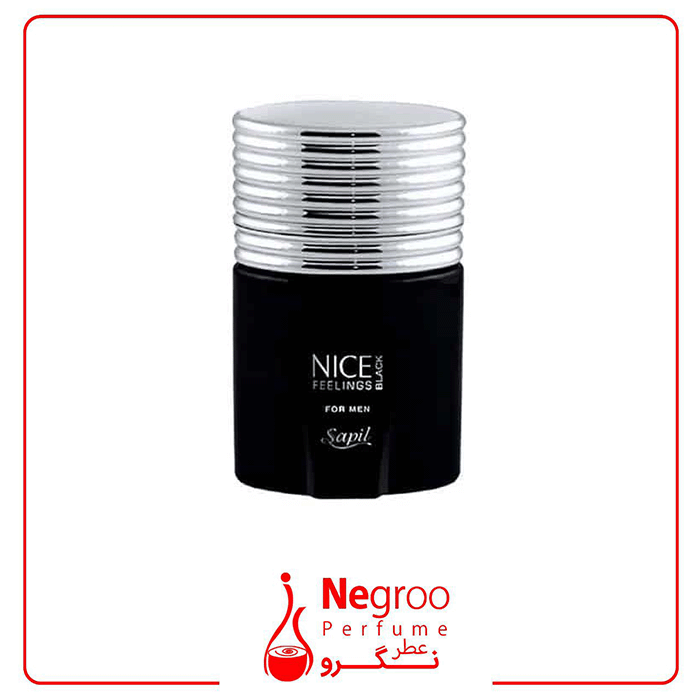 عطر ادکلن اورجینال مردانه نایس فیلینگز بلک ساپیل — تصویر ۵