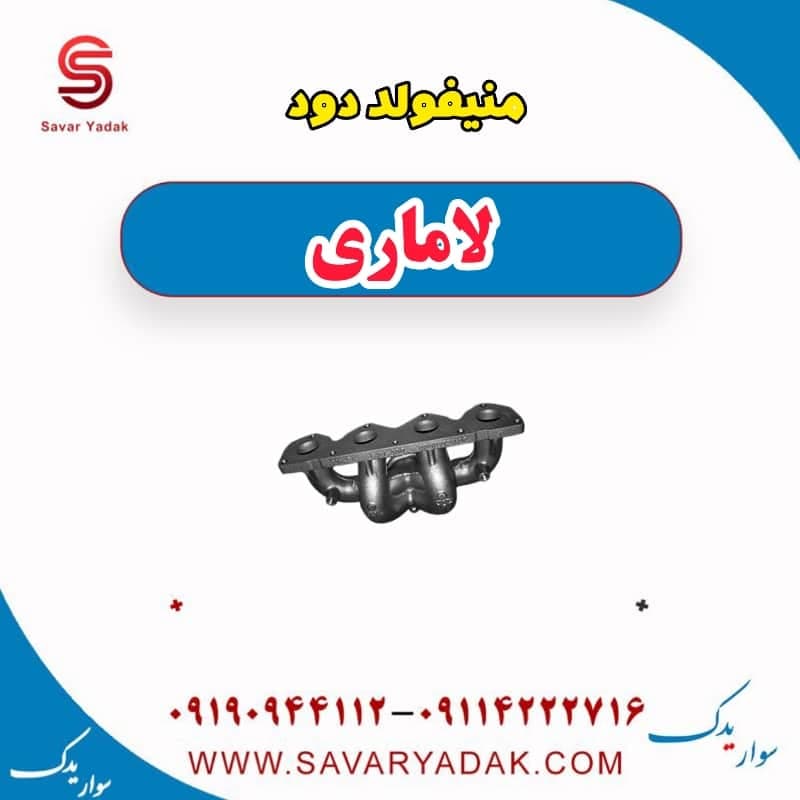 منیفولد دود لاماری