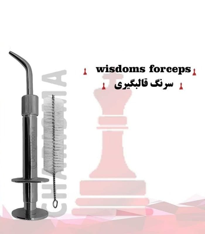 سرنگ قالبگیری (پرمولاستیک) کاریزما Charisma