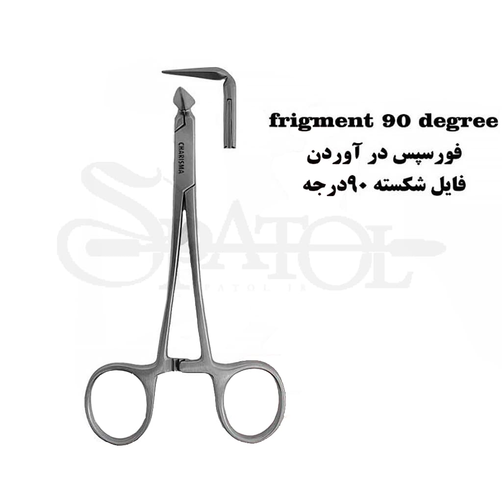 فورسپس درآوردن فایل شکسته کاریزما Charisma — تصویر ۳