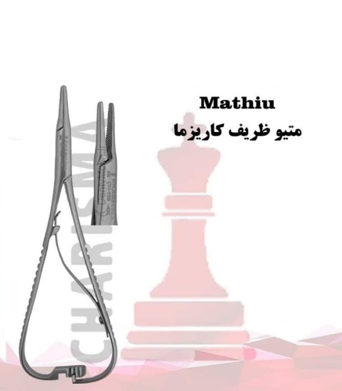 متیو ظریف کاریزما Charisma fine tip — تصویر ۳